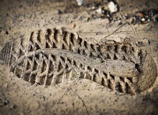 Czy ocena pracownika jest obowiązkowa? Czy ocena pracownika jest obowiązkowa?