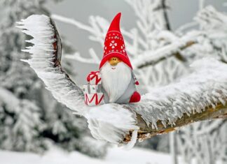 Jakie są motywy aktywności zawodowej? Jakie są motywy aktywności zawodowej?