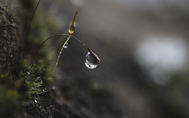 Co brać na skupienie? Co brać na skupienie?