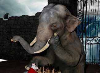 Co zrobić żeby się skupić na nauce?