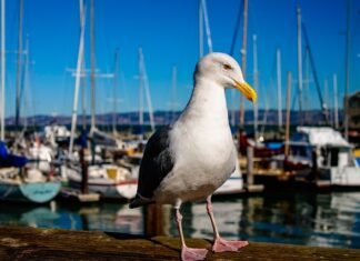 Czy można przeszukać pracownika? Czy można przeszukać pracownika?