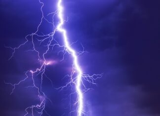 Jaka witamina wpływa na rozwój mózgu dziecka? Jaka witamina wpływa na rozwój mózgu dziecka?