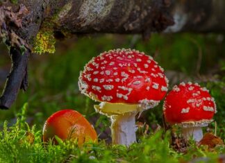 Po czym poznać że związek jest toksyczny? Po czym poznać że związek jest toksyczny?