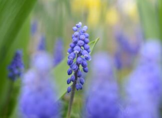 Co wyróżnia Cię spośród innych kandydatów odpowiedzi?