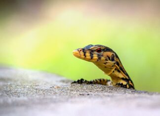 Dlaczego warto monitorować swoje social media? Dlaczego warto monitorować swoje social media?