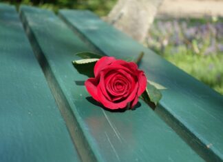 Co powiedzieć żeby kogoś wesprzeć? Co powiedzieć żeby kogoś wesprzeć?