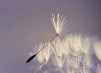 Jak odzyskać chęć do pracy? Jak odzyskać chęć do pracy?